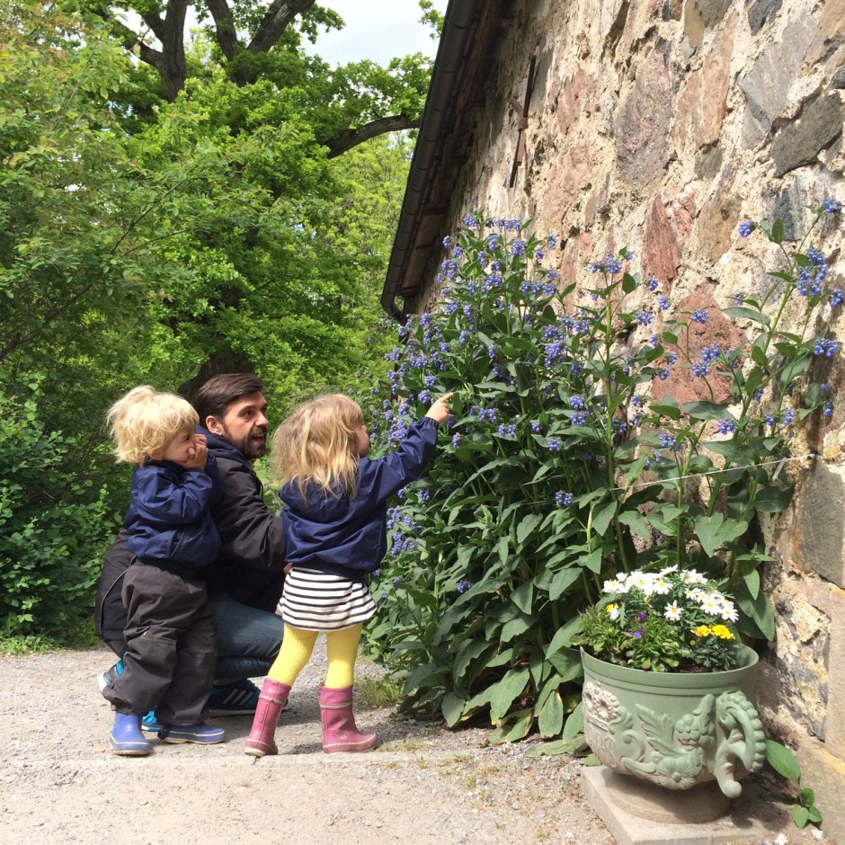Drottningholm - 2