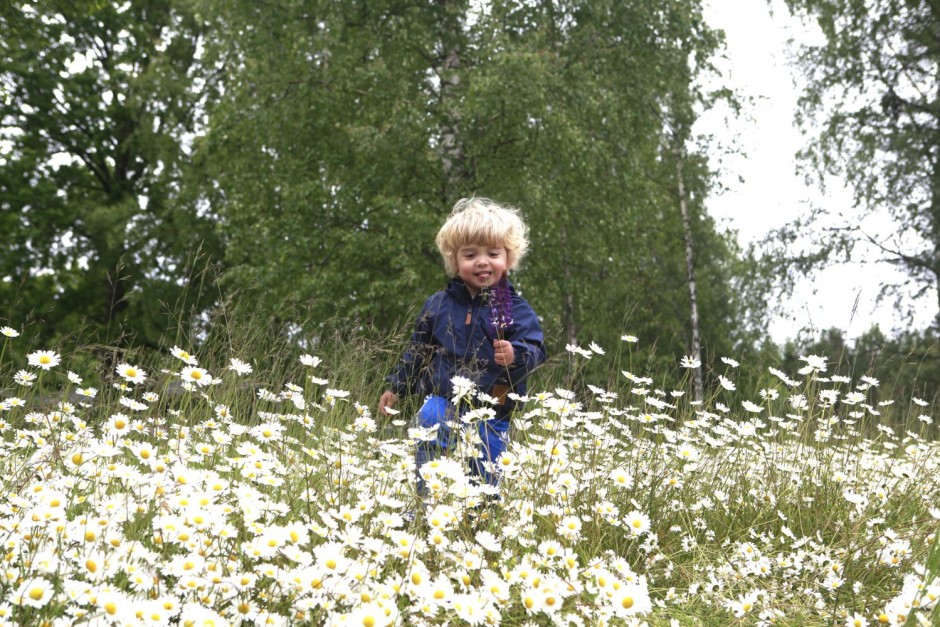 Midsommarafton - 03