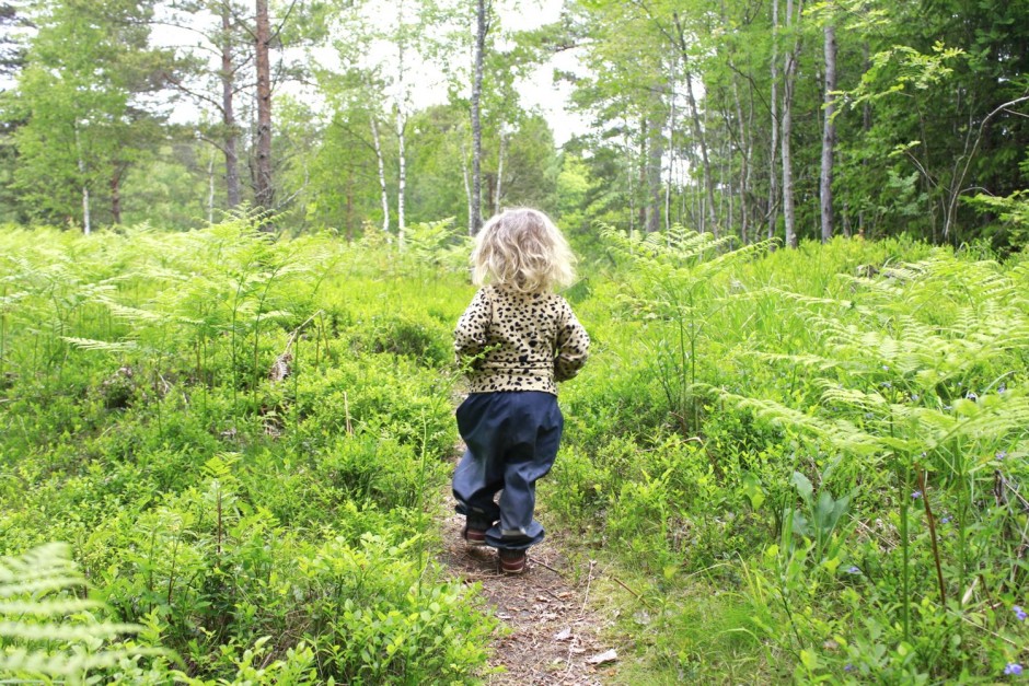Midsommarafton - 09