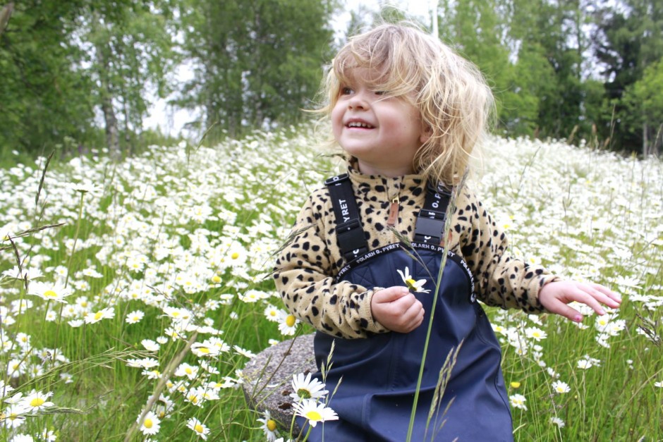 Midsommarafton - 15