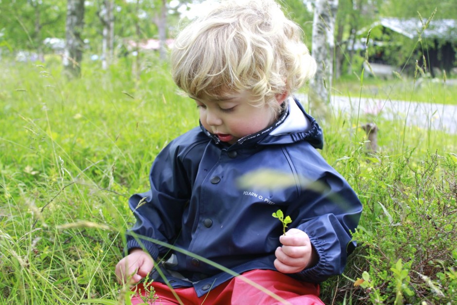 Midsommarafton - 16