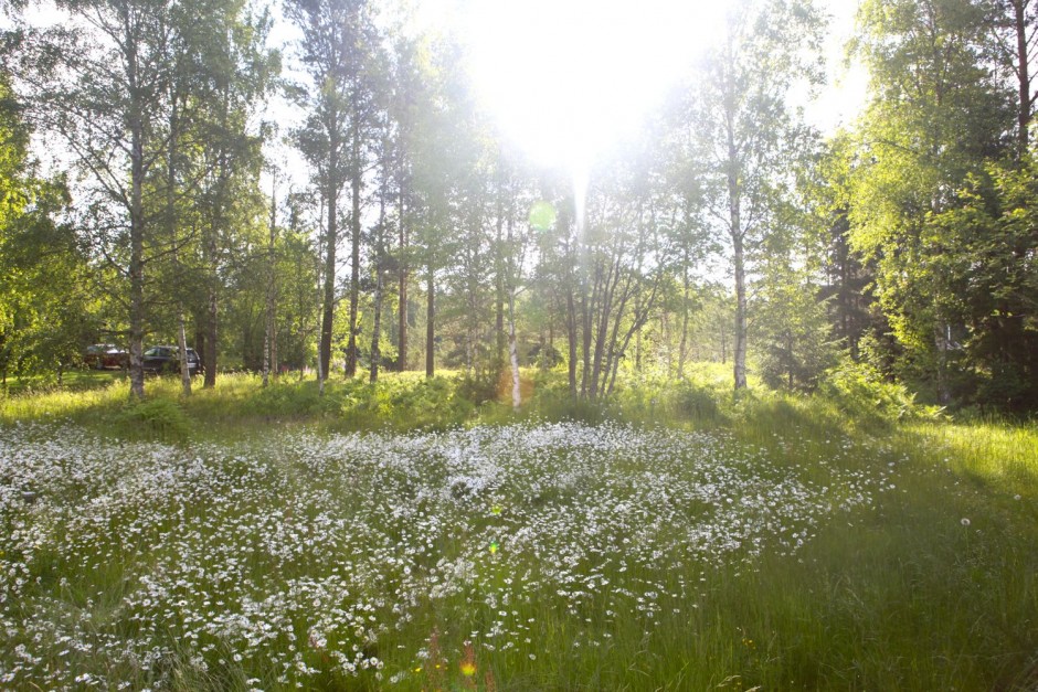 Midsommarafton - 17