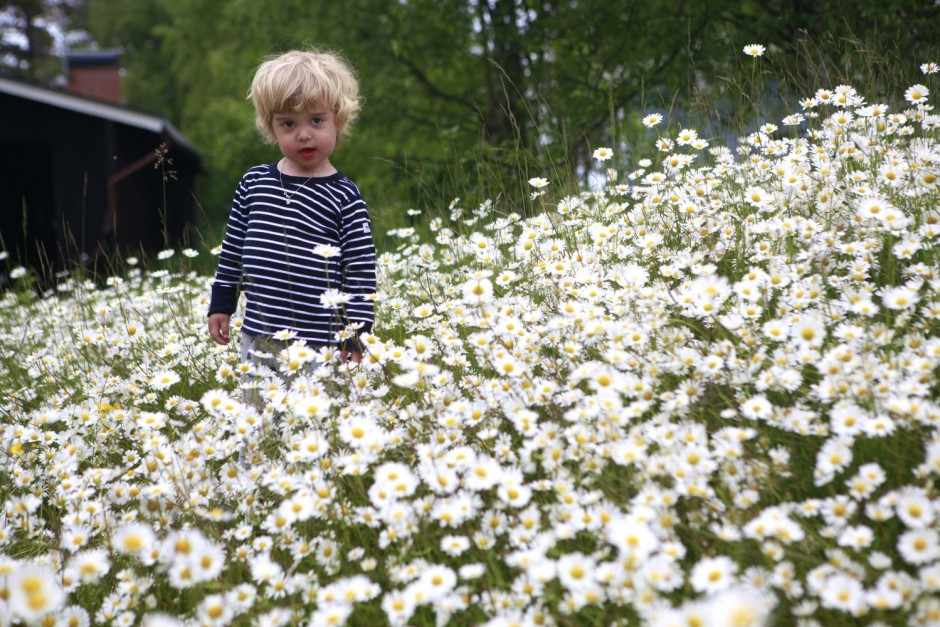 Torsdag i viken - 06
