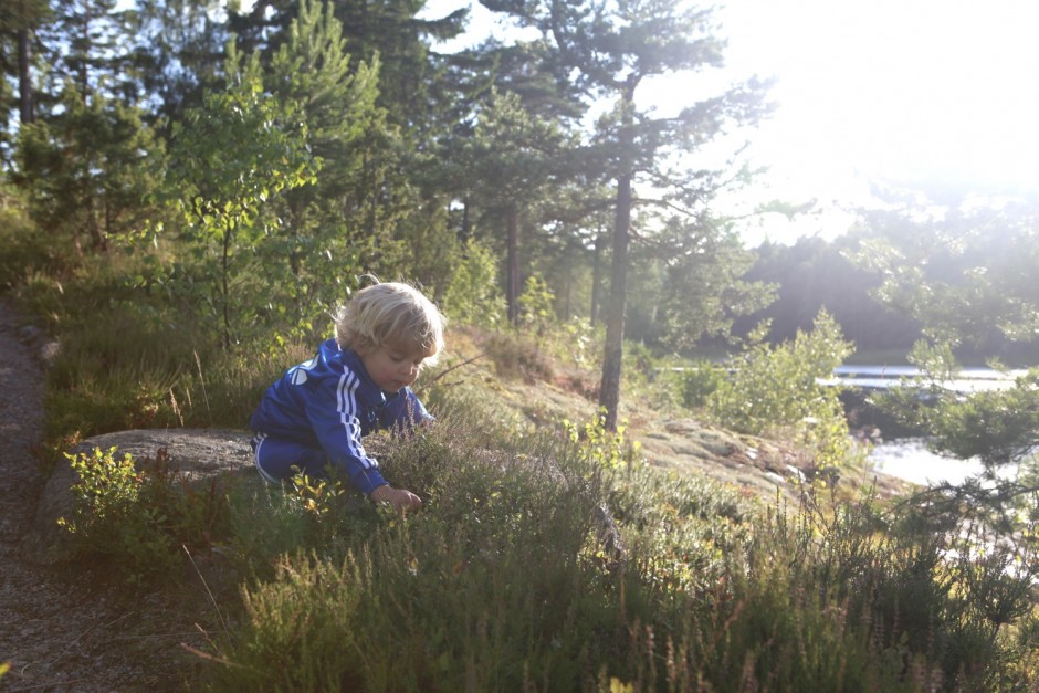 Livet i viken andra halvan av juli del 1 - 16