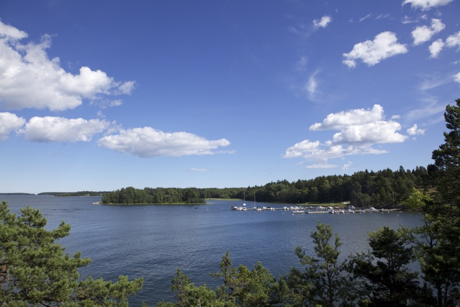 Livet i viken forsta veckorna i augusti - 01