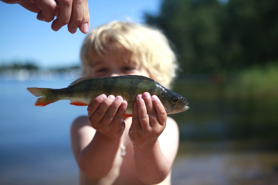 Livet i viken forsta veckorna i augusti - 12