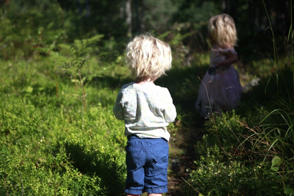 Livet i viken forsta veckorna i augusti - 13