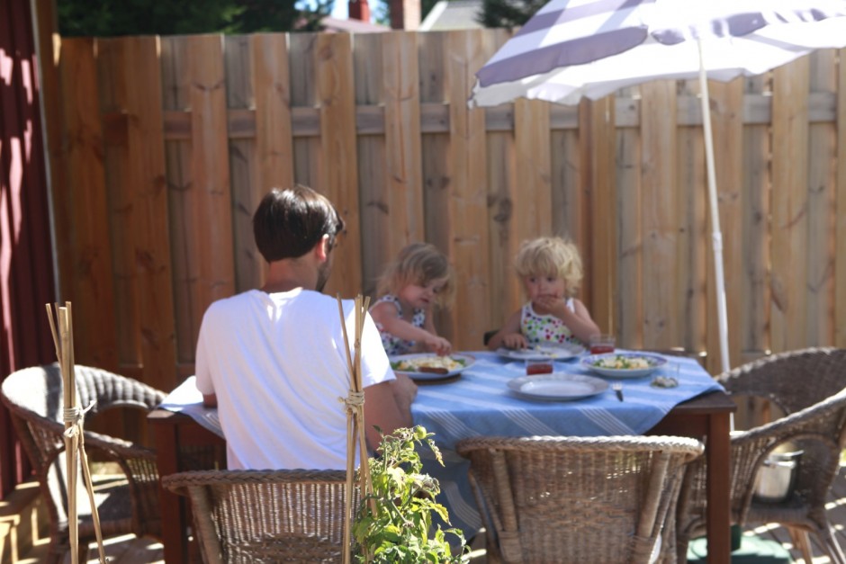 Viken mitten av augusti - 01
