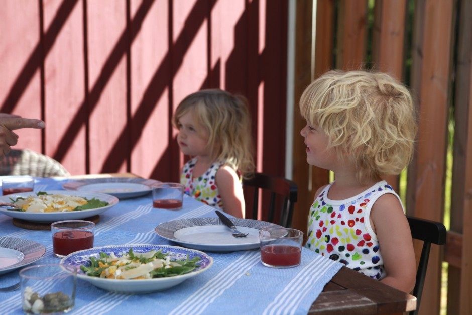 Viken mitten av augusti - 02
