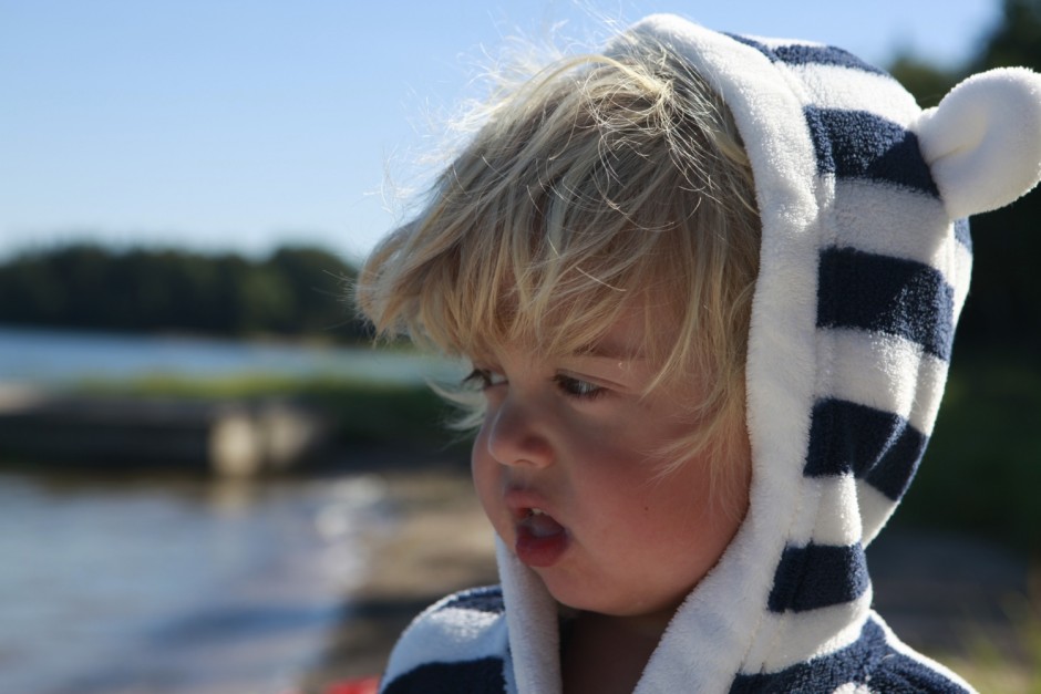 Viken mitten av augusti - 11