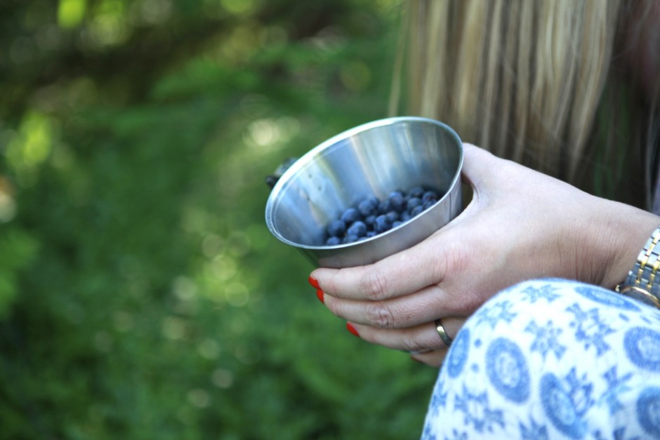 Viken mitten av augusti - 16