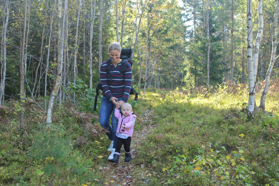 Viken oktober - 15