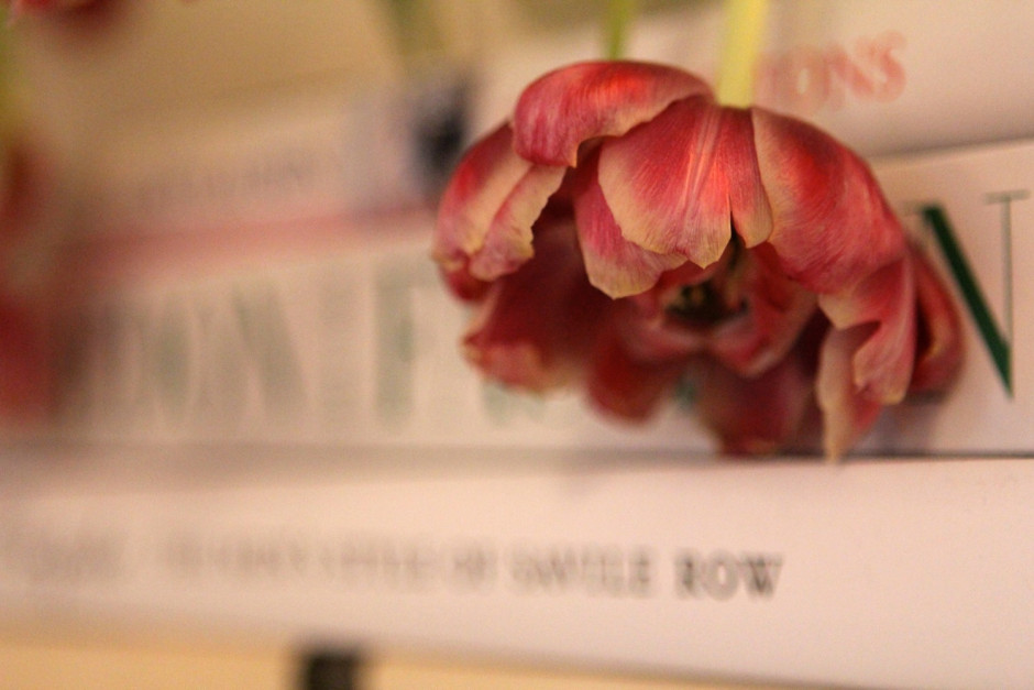 01. Tulips