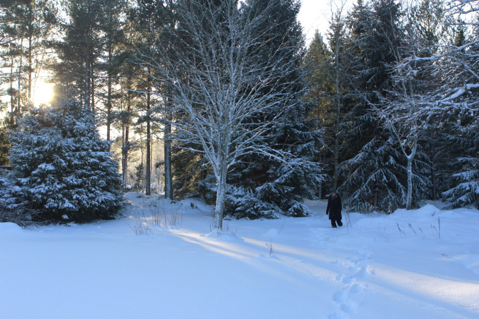 Viken mitten av jan - 01