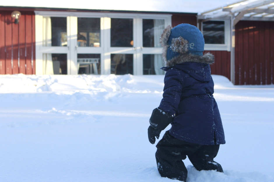 Viken mitten av jan - 02