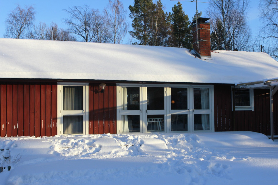 Viken mitten av jan - 11