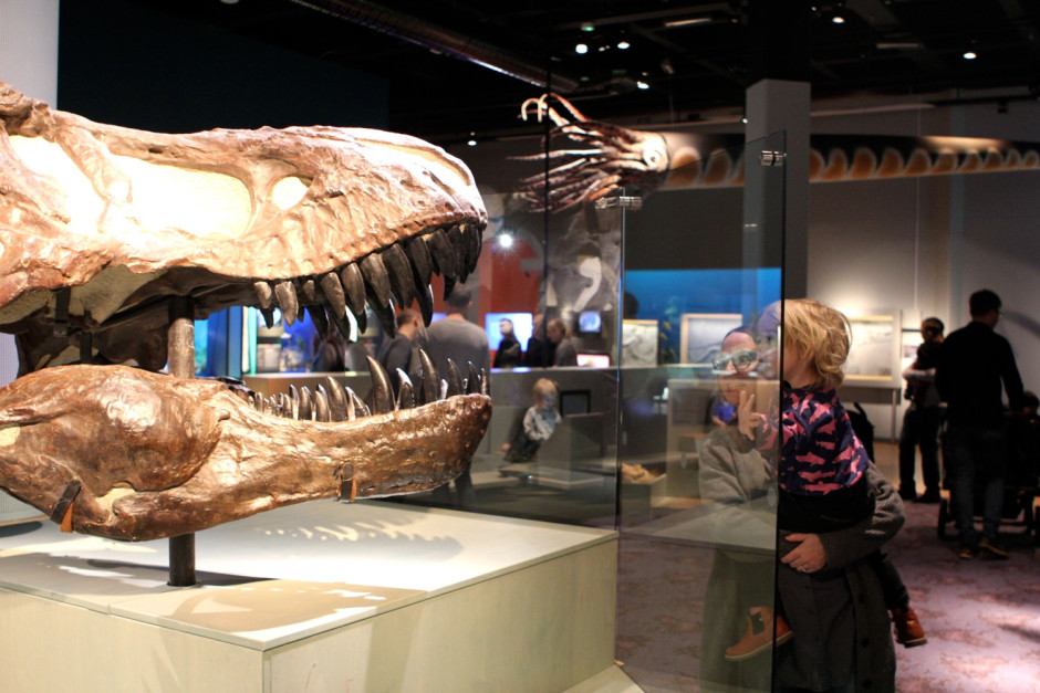Naturhistoriska - 02