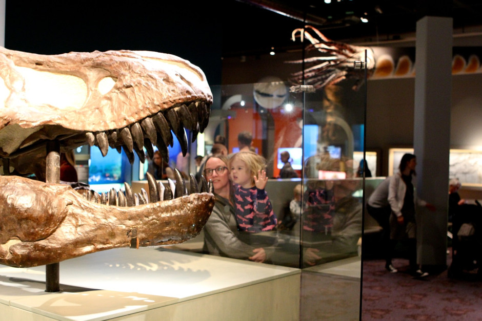 Naturhistoriska - 03