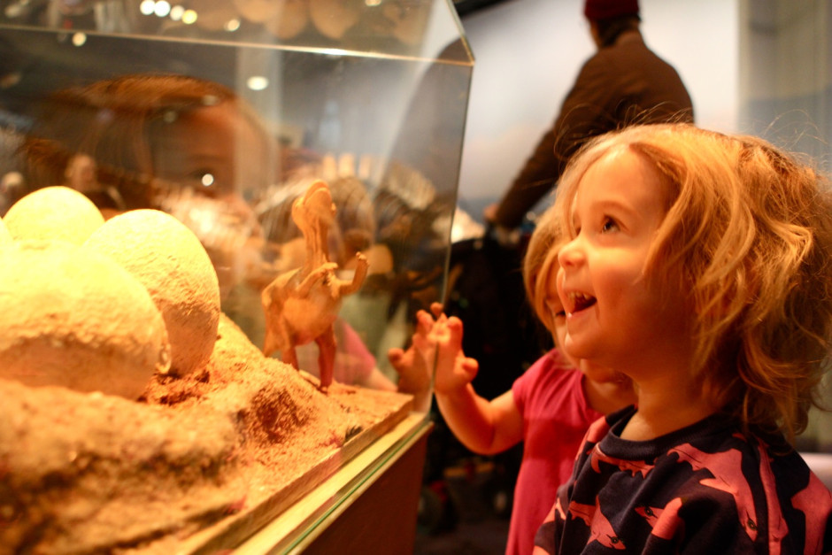 Naturhistoriska - 06