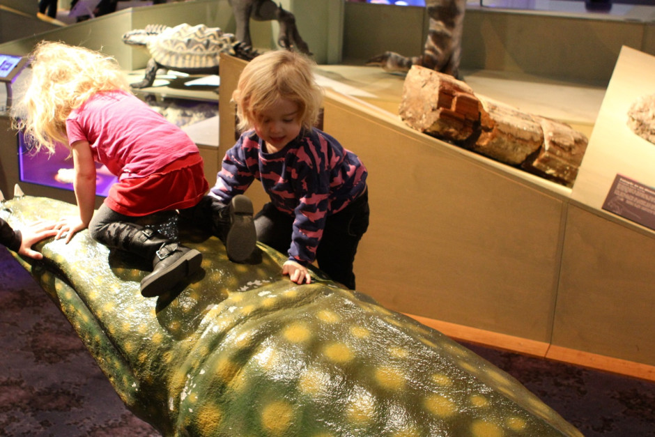 Naturhistoriska - 07