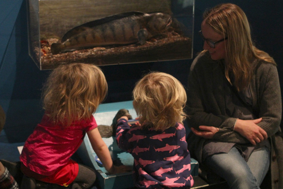 Naturhistoriska - 11