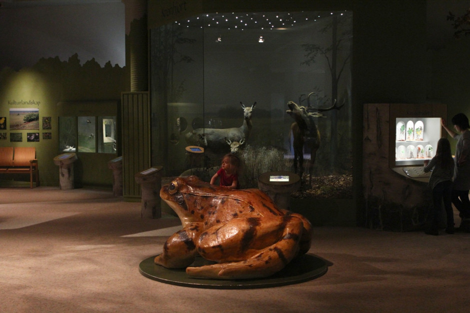 Naturhistoriska - 13