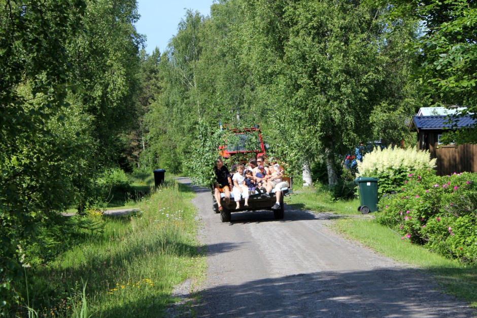 Humlis - 20