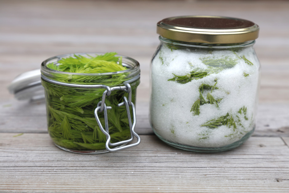 Humlis mors dag - 11