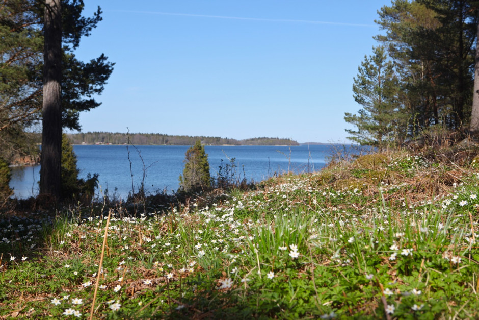 Hummelviken forsta helgen i maj - 26