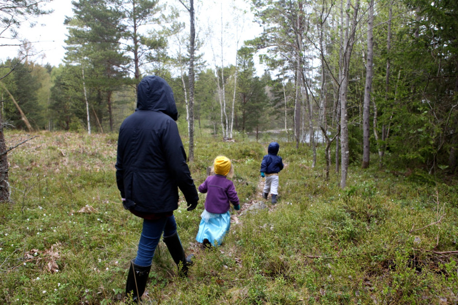 Viken mitten av maj - 09