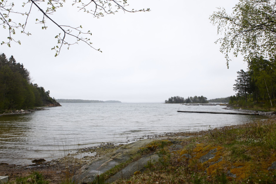 Viken mitten av maj - 10