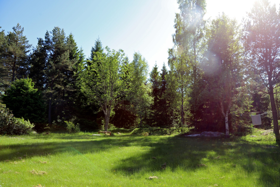 Humlis forsta helgen i juni - 09