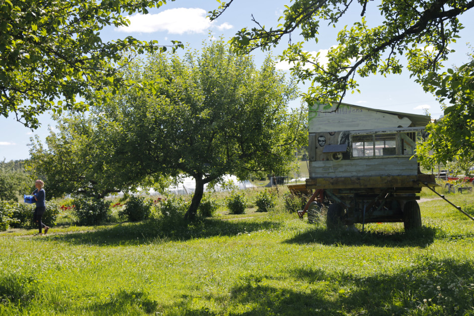 Rosenhill - 14