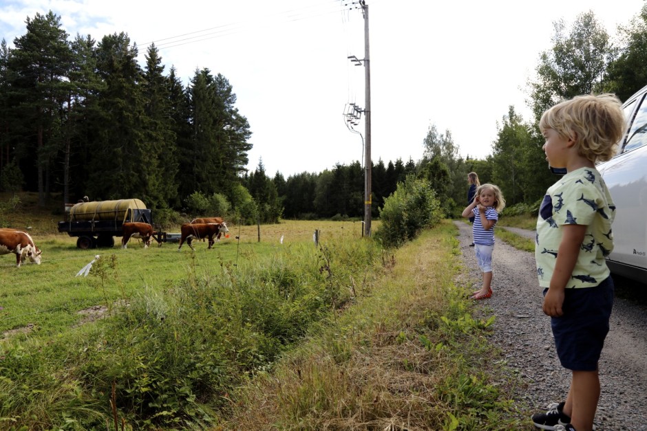 Humlis sista veckan i juli - 10
