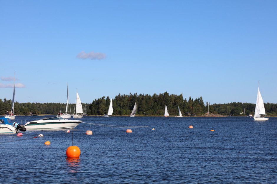 Humlis sista veckan i augusti - 11